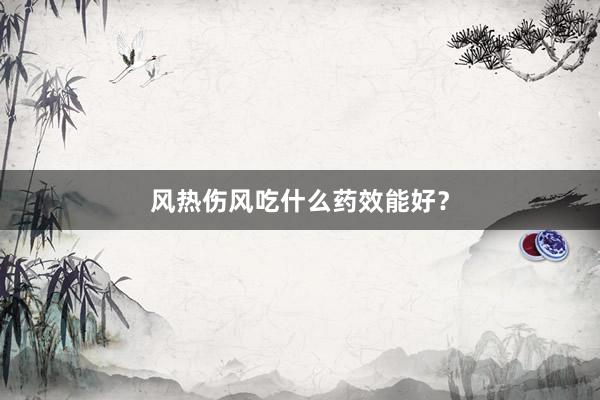 风热伤风吃什么药效能好？