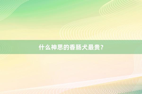 什么神思的香肠犬最贵？