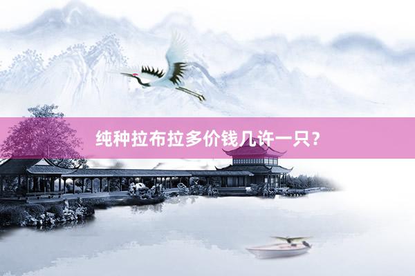 纯种拉布拉多价钱几许一只？
